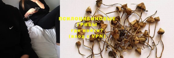 MDMA Premium VHQ Ладушкин