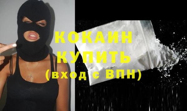 дживик Кулебаки
