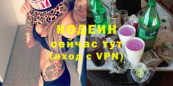 крисы Лабытнанги