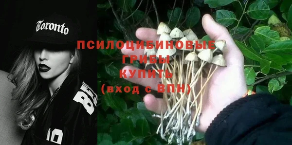 крисы Лабытнанги