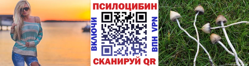 как найти закладки  Мирный  shop Telegram  Галлюциногенные грибы мицелий 